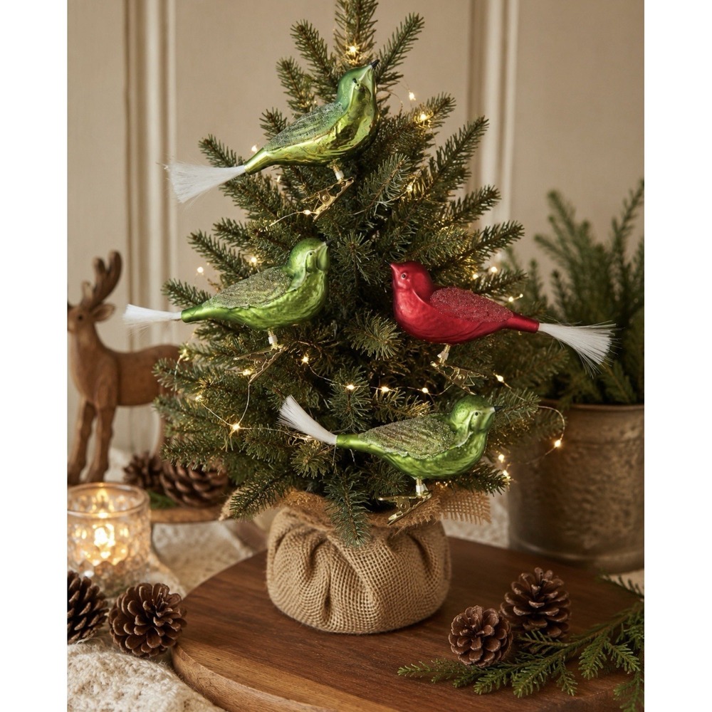 Vintage Glass Clip On Bird Ornaments Set 4 Red Green German Bristle  Tail F/W